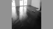 Deckboard Hardwood Flooring Centre