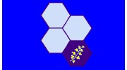 Veitchi Group